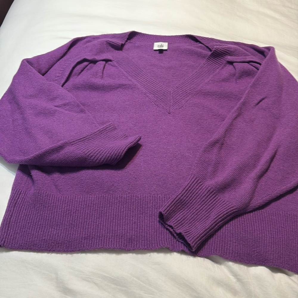 Cabi purple Luxury Pullover v-neck sweater Fall 2021 style 4098 medium EUC